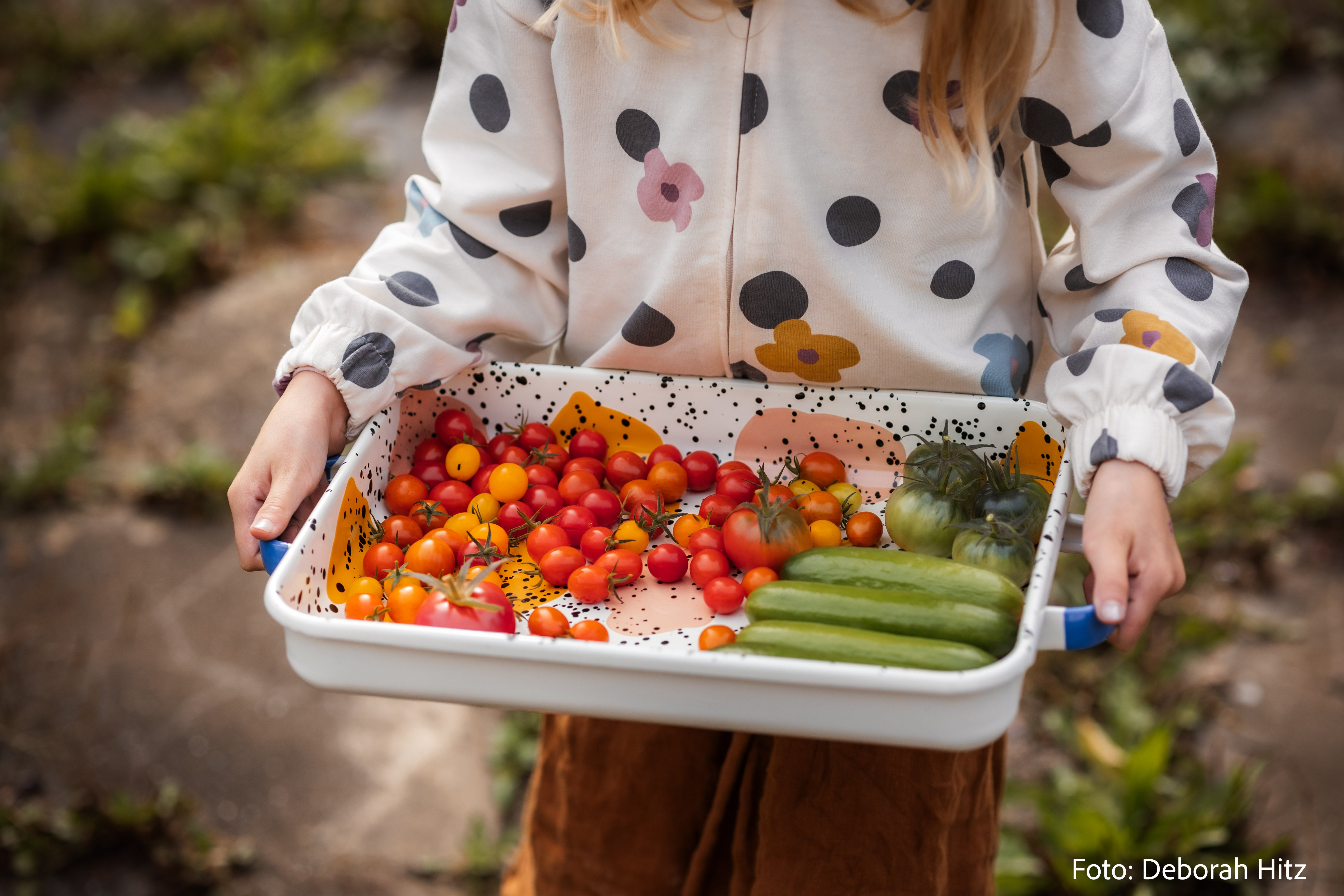 Emaille multifunktionale Form YIV Halfpipe – vielseitig, nachhaltig & langlebig | YIV Emaille Geschirr